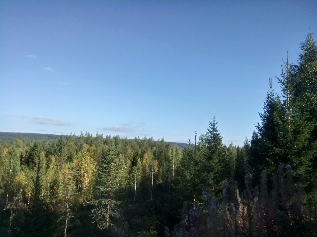 Metsorinne Kotila Kültér fotó