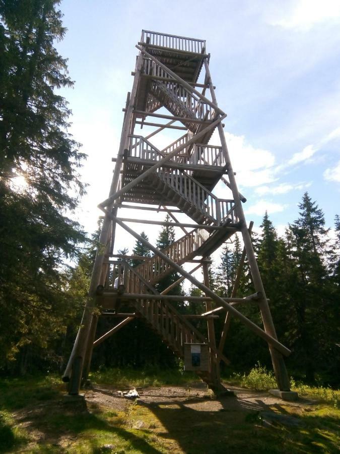 Metsorinne Kotila Kültér fotó